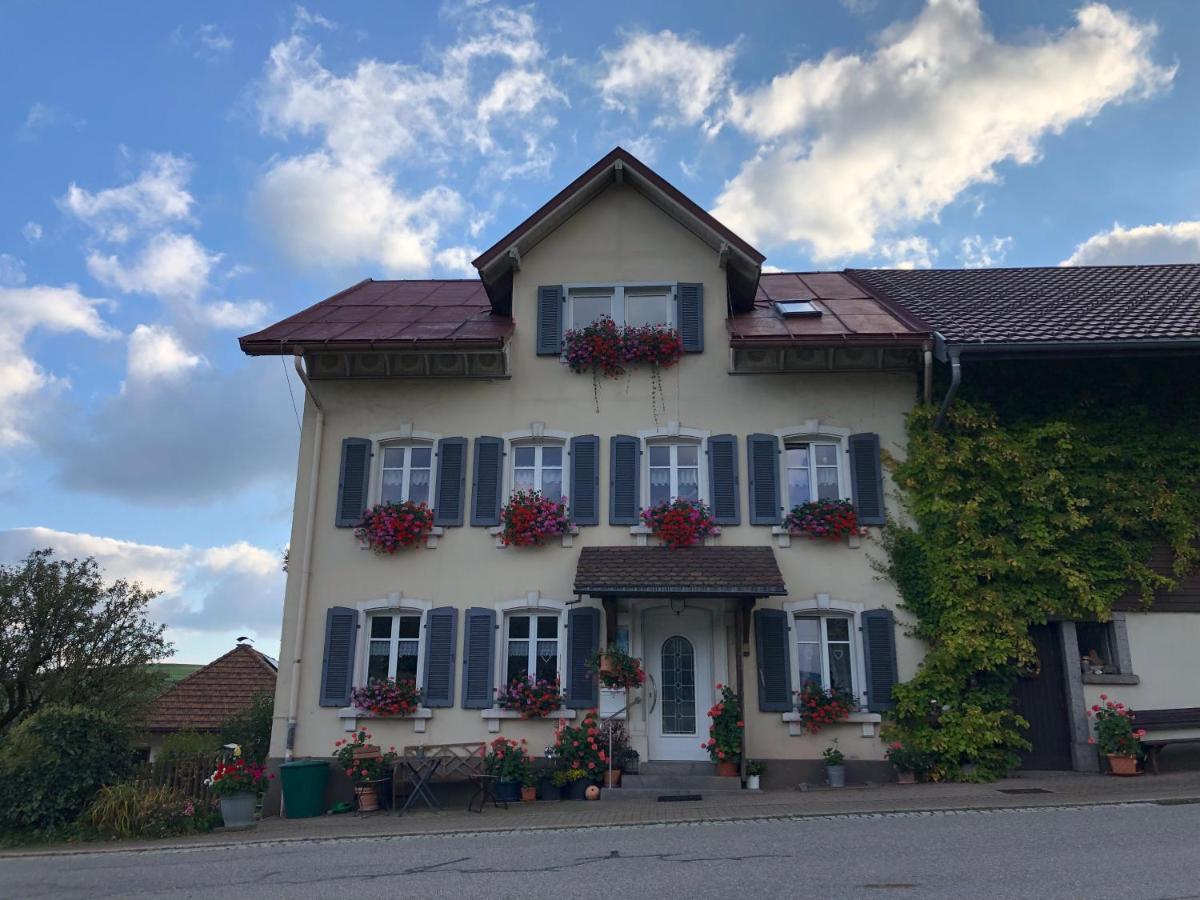 Ferienwohnung Haus Sutter 肖普海姆 外观 照片